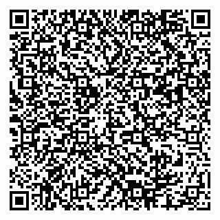 vCard 79003100374
