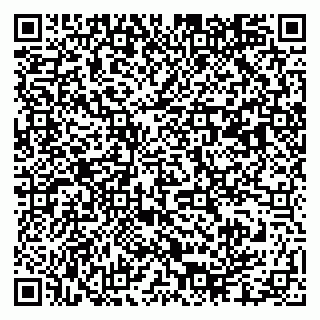 vCard 79003100380