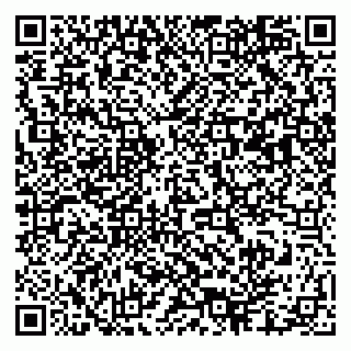 vCard 79003100381