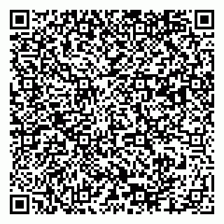 vCard 79003100387