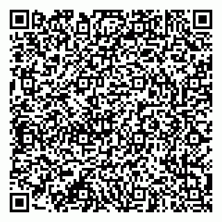 vCard 79003100389