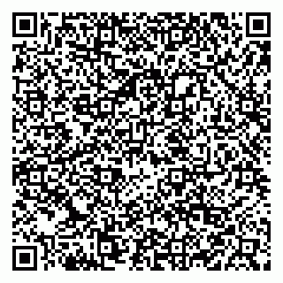 vCard 79003950131