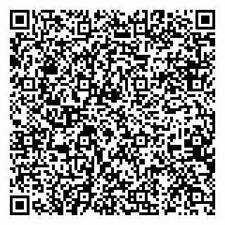 vCard 79003950211