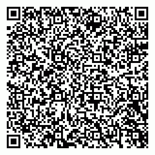 vCard 79004453878