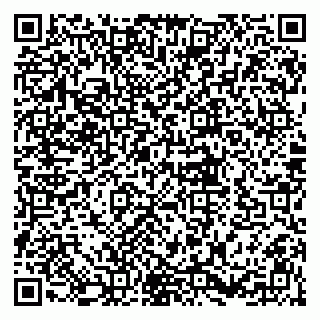 vCard 79010135331