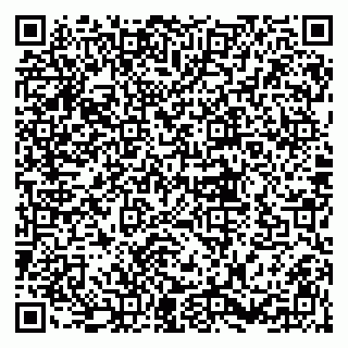 vCard 79010135333