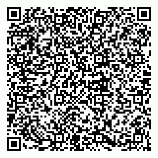 vCard 79010135381