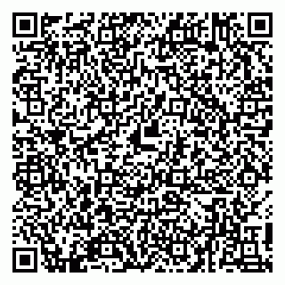vCard 79011000173