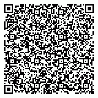 vCard 79011000403