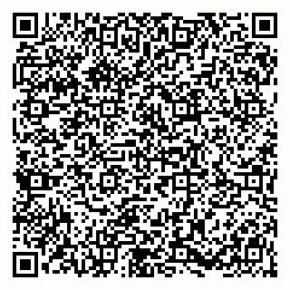 vCard 79011001939