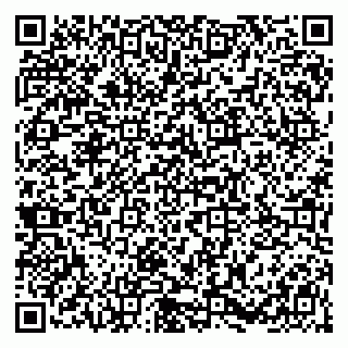vCard 79011002939