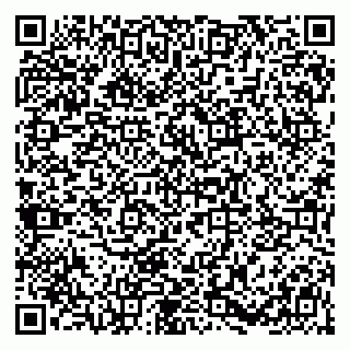 vCard 79011003039