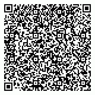 vCard 79011120004