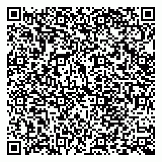 vCard 79011120010