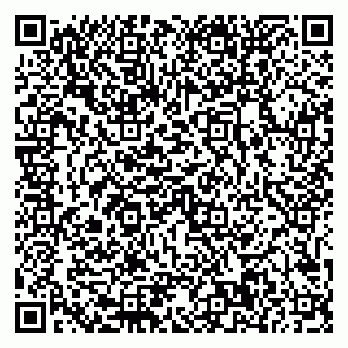 vCard 79011120096