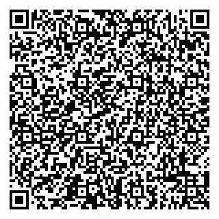 vCard 79011280001