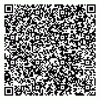 vCard 79011280009