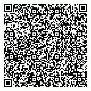 vCard 79011280031
