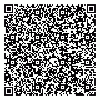 vCard 79011280300