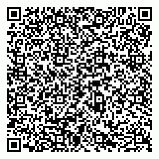 vCard 79011280324