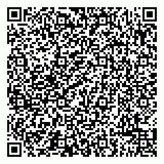 vCard 79011280387