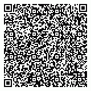 vCard 79011280391