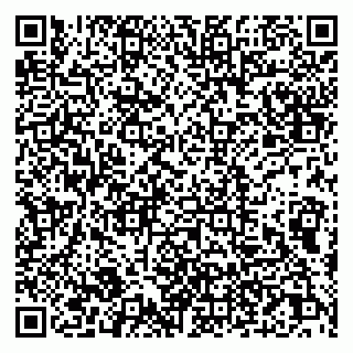 vCard 79011315203