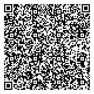 vCard 79011315221