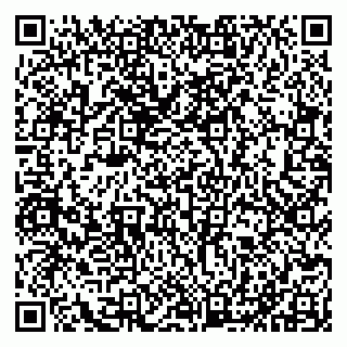vCard 79011315229