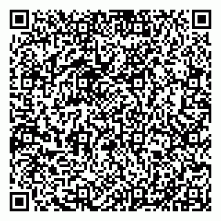 vCard 79011315239