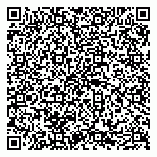 vCard 79011315241