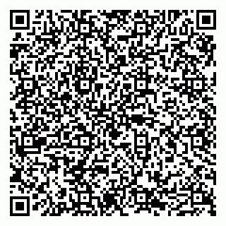 vCard 79011315251