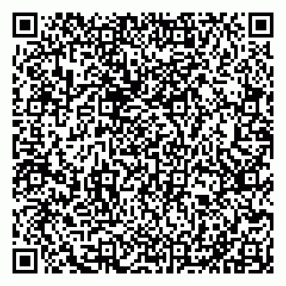 vCard 79011315271