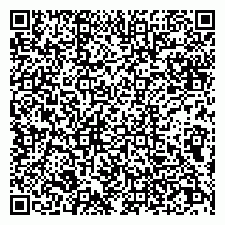 vCard 79011315273