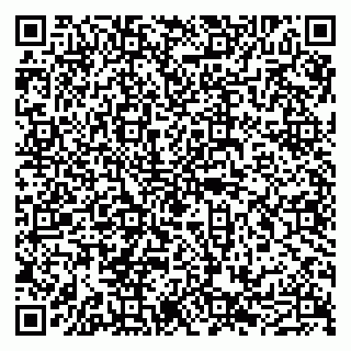 vCard 79011315275