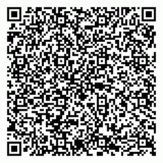 vCard 79011315278