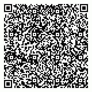 vCard 79011315281