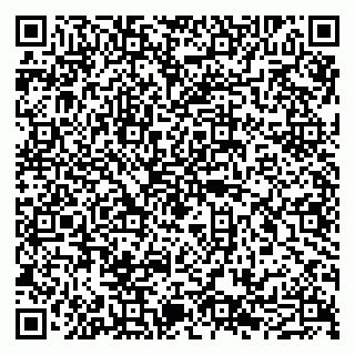 vCard 79011315292