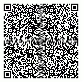 vCard 79011315294
