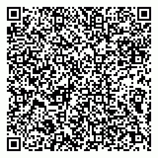 vCard 79011315297