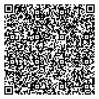 vCard 79011450389