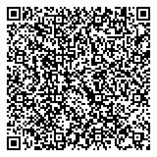 vCard 79011560295
