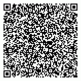 vCard 79011560321