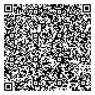 vCard 79011980003