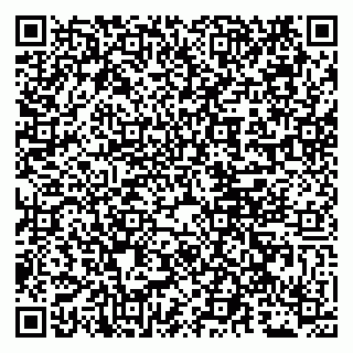 vCard 79011980041