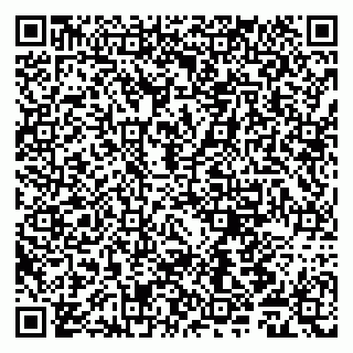 vCard 79011980153