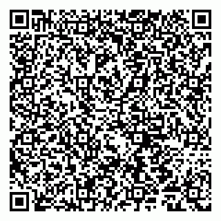 vCard 79011980217