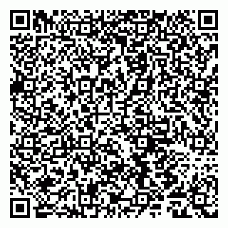 vCard 79011980231