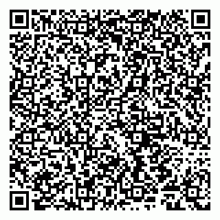 vCard 79011980233