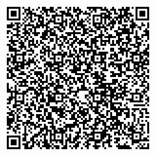 vCard 79011980239